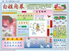 白小姐内幕A