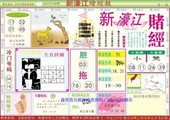 新濠江赌经A